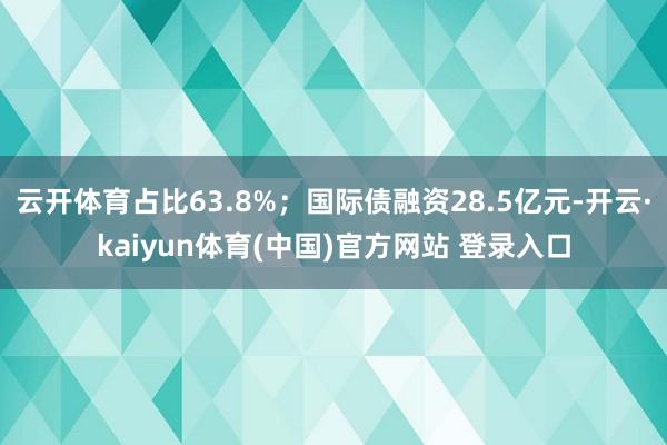 云开体育占比63.8%；国际债融资28.5亿元-开云·kaiyun体育(中国)官方网站 登录入口